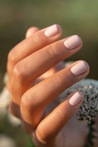 Hovedbilde Gemini A Breath of Fresh Air 316